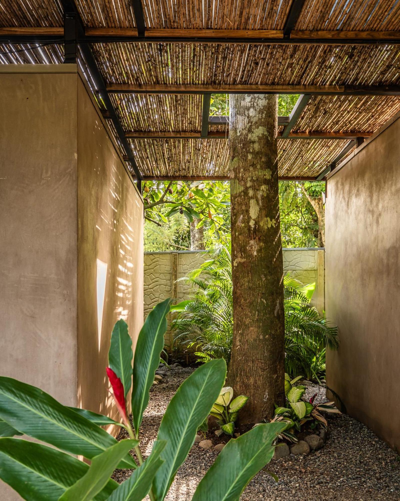 La Bonita Lodge Puerto Viejo de Talamanca ภายนอก รูปภาพ