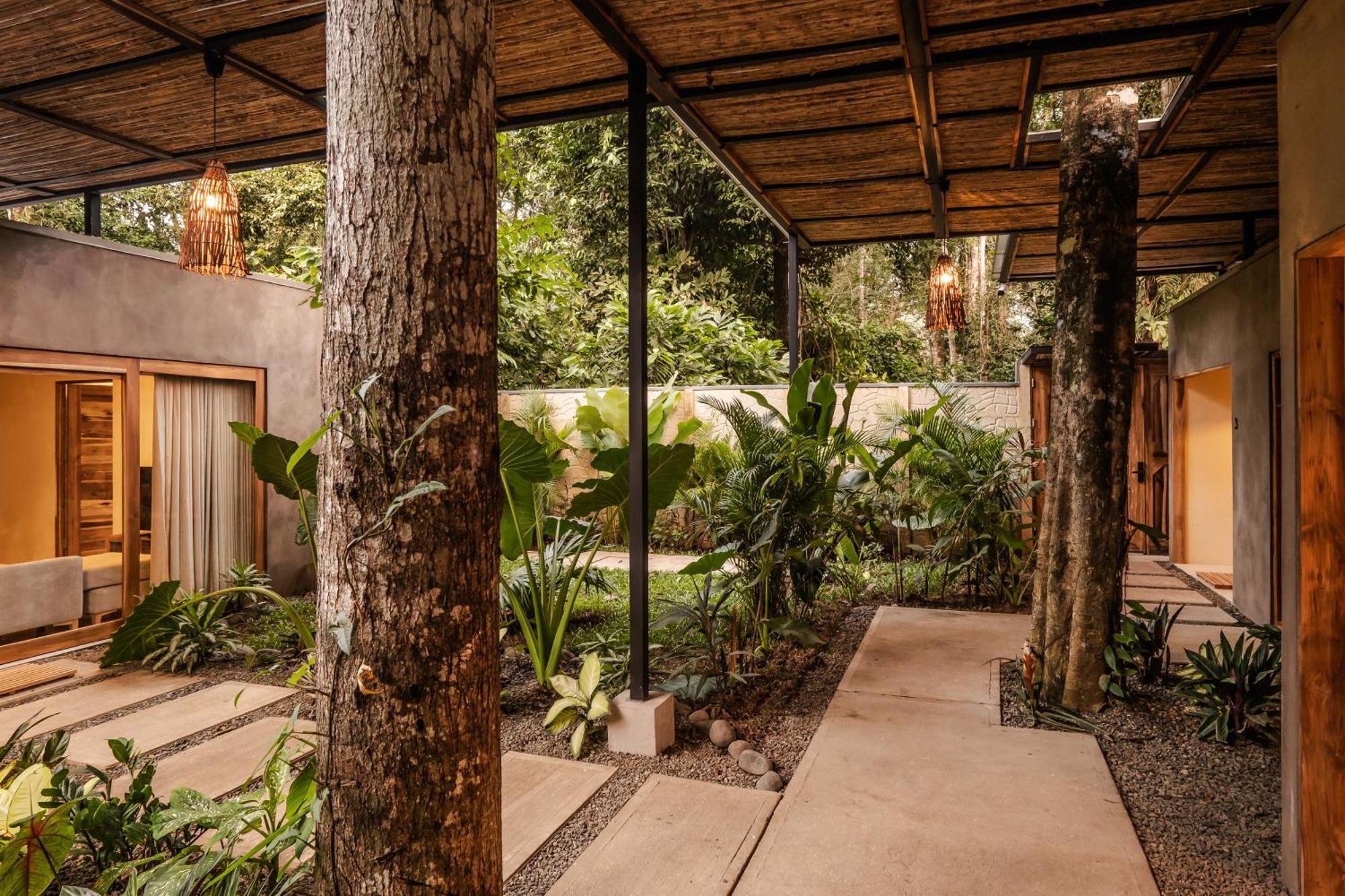 La Bonita Lodge Puerto Viejo de Talamanca ภายนอก รูปภาพ