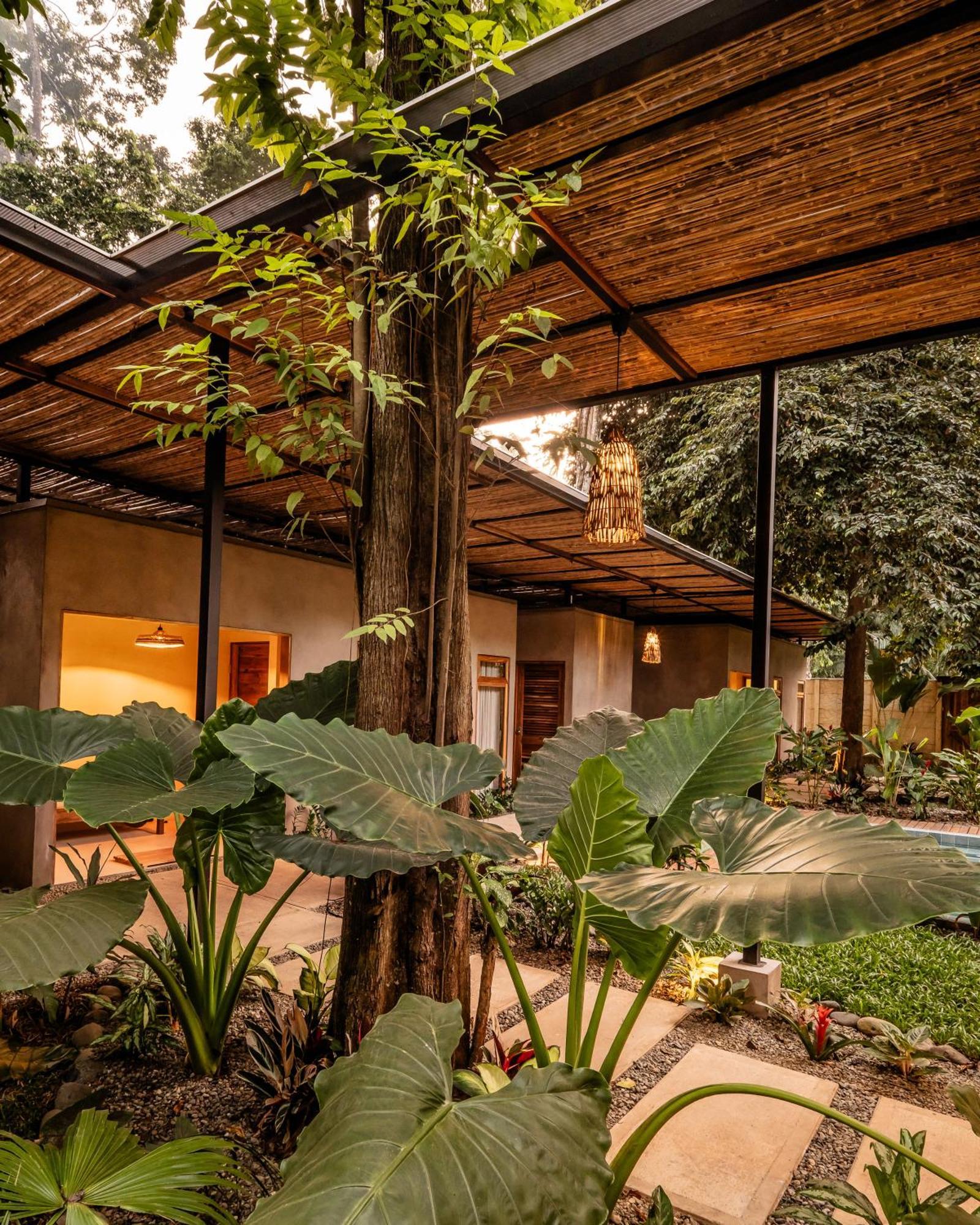La Bonita Lodge Puerto Viejo de Talamanca ภายนอก รูปภาพ